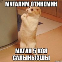 Мугалим отинемин Маган 5 коя салынызшы