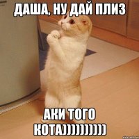 Даша, ну дай плиз Аки того кота))))))))))