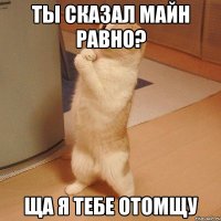 Ты сказал майн равно? Ща я тебе отомщу