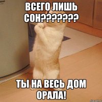 ВСЕГО ЛИШЬ СОН??????? ТЫ НА ВЕСЬ ДОМ ОРАЛА!