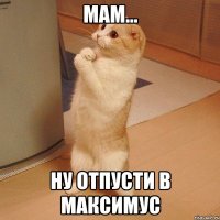 Мам... ну отпусти в МАКСИМУС