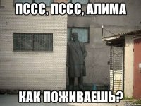 пссс, пссс, Алима как поживаешь?