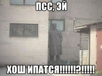 ПСС, ЭЙ Хош ипатся!!!!!!?!!!!!