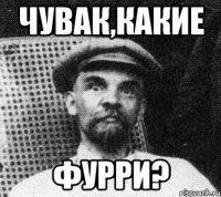 Чувак,какие Фурри?