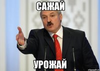 САЖАЙ УРОЖАЙ