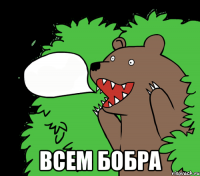  Всем бобра