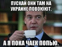 Пускай они там на Украине повоюют, а я пока чаек попью.