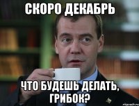 Скоро декабрь Что будешь делать, Грибок?