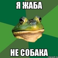 Я ЖАБА НЕ СОБАКА