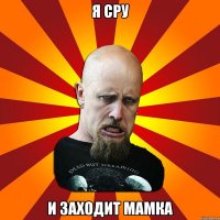 я сру и заходит мамка