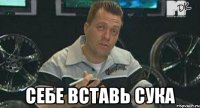  СЕБЕ ВСТАВЬ СУКА