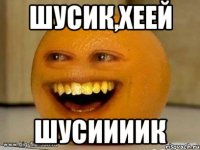 Шусик,хеей Шусиииик