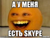 А У МЕНЯ ЕСТЬ SKYPE