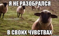 я не разобрался в своих чувствах