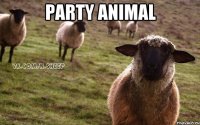 party animal 