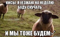 Кисы, я уезжаю на неделю. Буду скучать. И мы тоже будем:-*