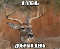 я Олень Добрый день