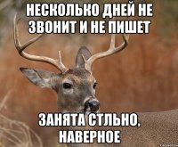 Несколько дней не звонит и не пишет Занята стльно, наверное