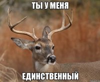 Ты у меня Единственный