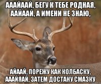 ааайаай, бегу к тебе родная, аайаай, а имени не знаю, айаай, порежу как колбаску, ааайяай, затем достану смазку