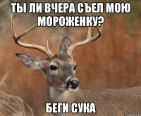 ты ли вчера съел мою мороженку? беги сука