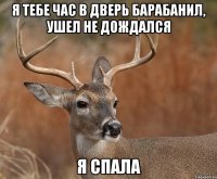 я тебе час в дверь барабанил, ушел не дождался я спала