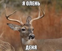 Я олень Деня