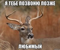 Я тебе позвоню позже Любимый