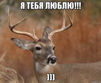 Я тебя люблю!!! )))