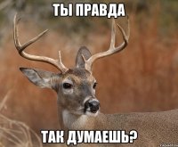 ты правда так думаешь?