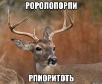 роролопорпи рпиоритоть