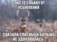 Спас её собаку от усыпления Сказала СПАСИБО и больше не здоровалась.