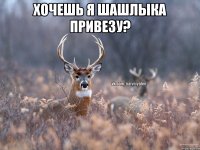 Хочешь я шашлыка привезу? 