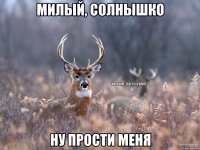 Милый, солнышко Ну прости меня