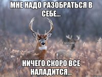 Мне надо разобраться в себе... Ничего,скоро все наладится...