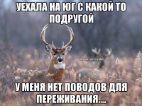 Уехала на юг с какой то подругой У меня нет поводов для переживания....