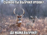 Сынок,ты выучил уроки? *Да мама,выучил!*