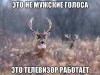 Это не мужские голоса Это телевизор работает