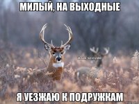 Милый, на выходные Я уезжаю к подружкам