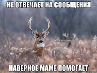 Не отвечает на сообщения Наверное маме помогает