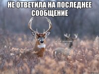 Не ответила на последнее сообщение 