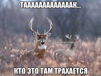 Тааааааааааааак... Кто это там трахается