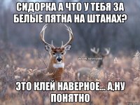 СИДорка а что у тебя за белые пятна на штанах? Это клей наверное... А,ну понятно