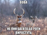 Вова не пий багато бо роги виростуть