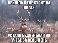 пришла и еле стоит на ногах устала бедненькая на учебе за весь день