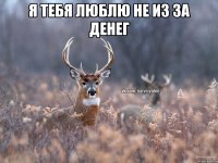 Я тебя люблю не из за денег 