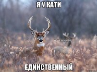 Я у Кати Единственный