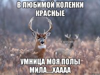 в любимой коленки красные умница моя полы мила....хаааа