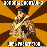 холопы восстали? царь разберется