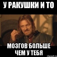 у ракушки и то мозгов больше чем у тебя